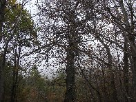 nte Fontane-201011107 062